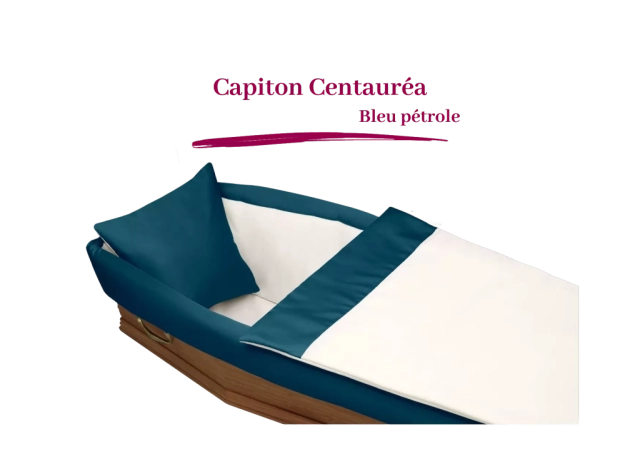 capiton centauréa bleu pétrole