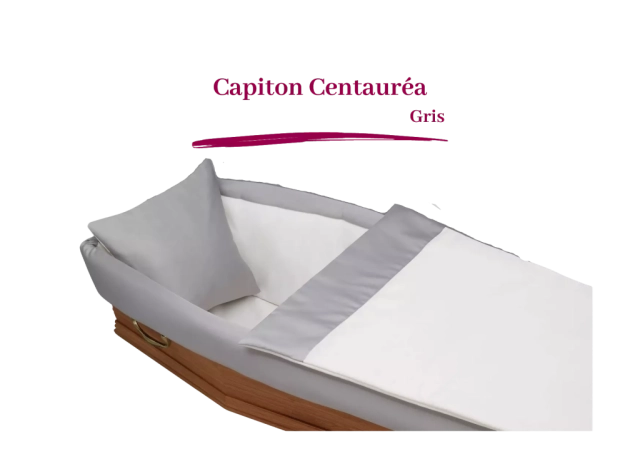 capiton centauréa gris