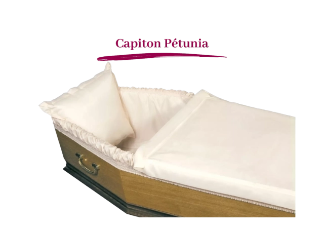 capiton pétunia